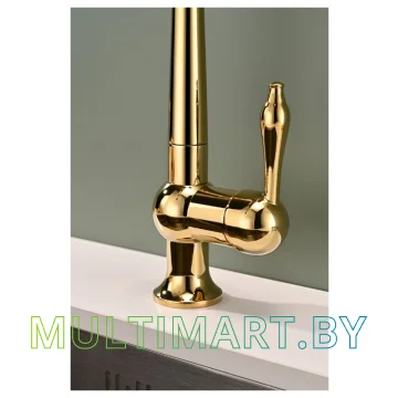 Смеситель Paulmark Retro Re213226-G (золото) картинка 9